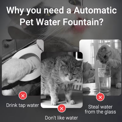 Rechargeable Cat Water Fountain – Fresh, Flowing Water for Healthy, Happy Pets